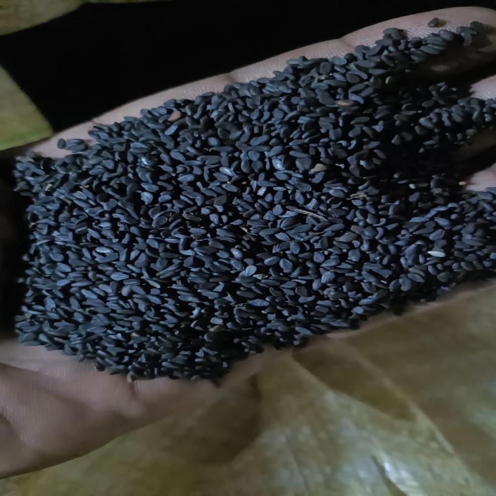 Black Sesama Seeds - Admixture (%): 3%