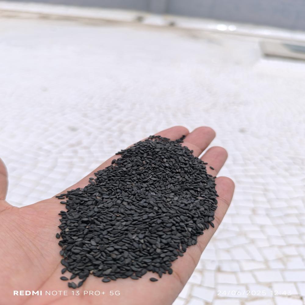 black sesama seeds