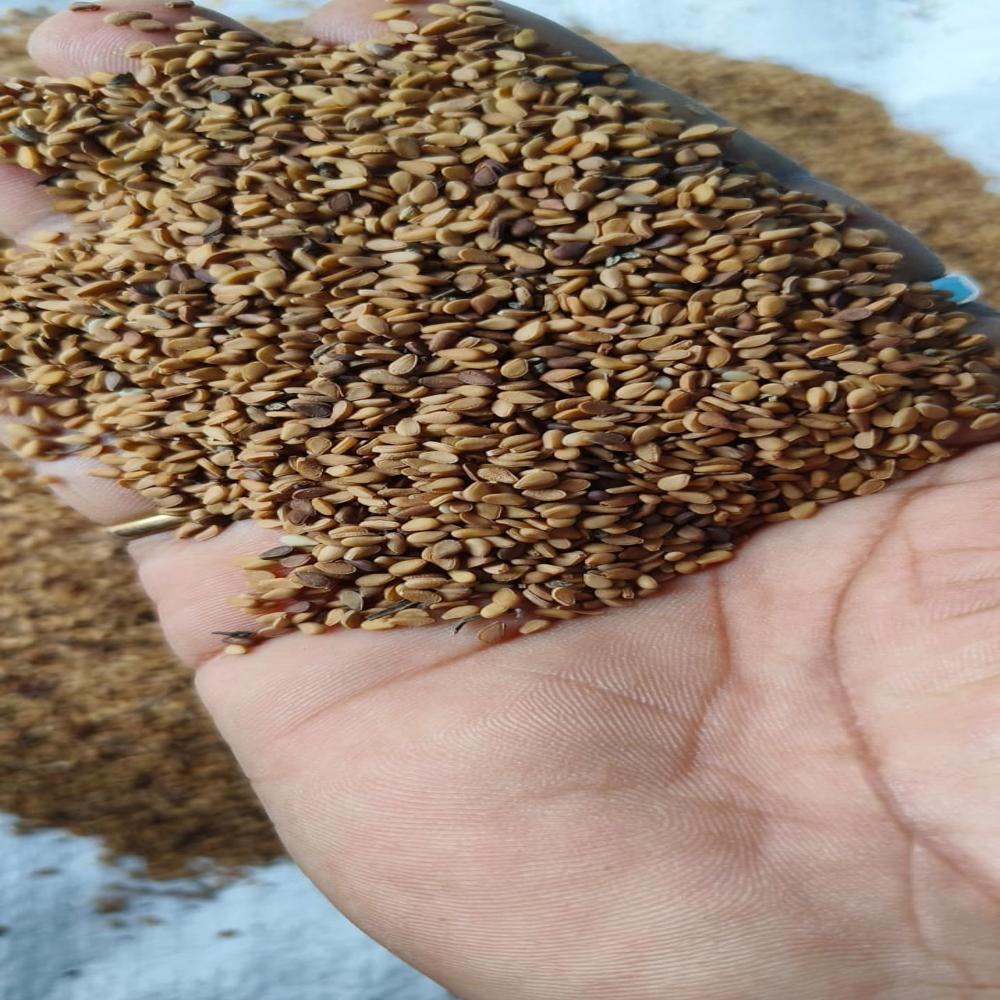 brown sesama seeds