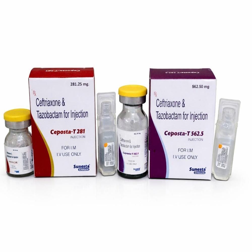 CEPOSTA - T 281