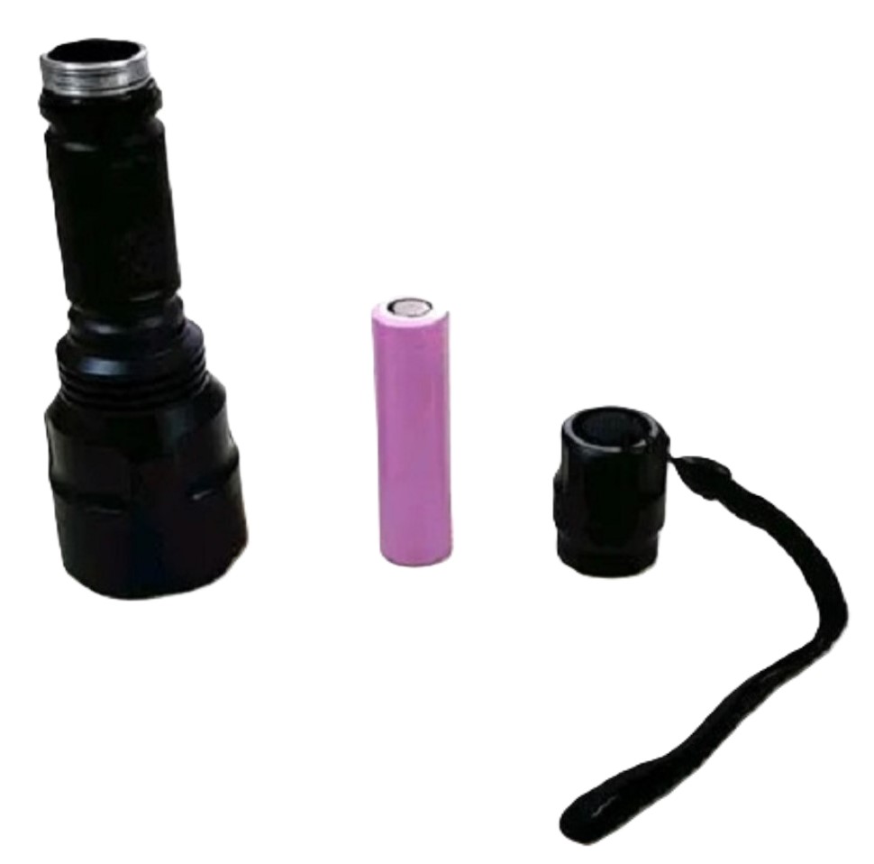 Ultraviolet UV Torch