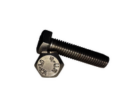 Ss Hex Bolt - Diameter: M6