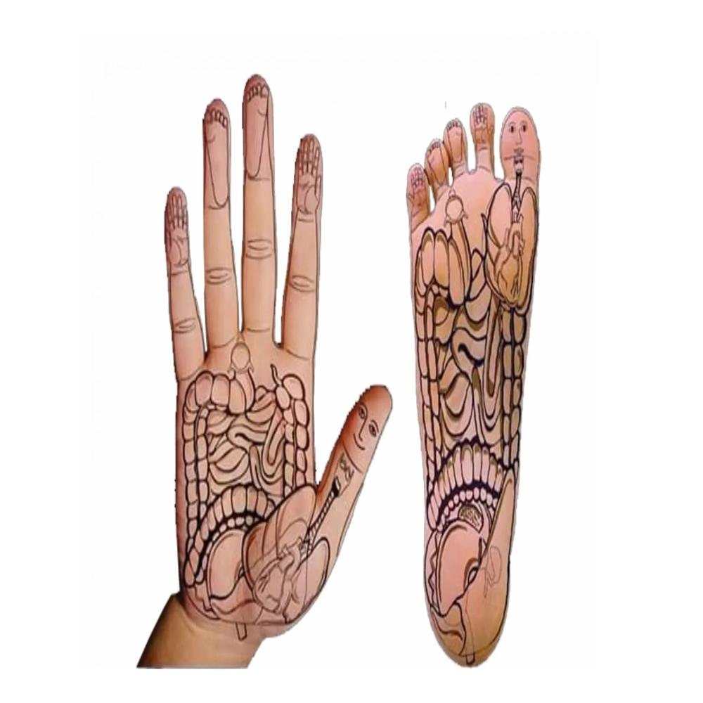 Sujok Acupressure online class