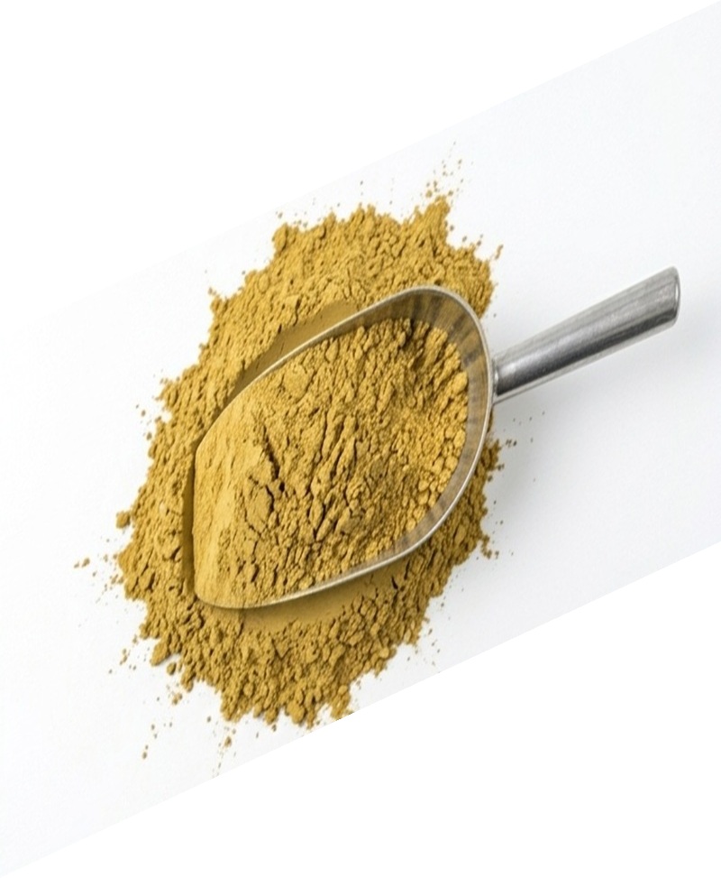 Silymarin 80% Powder