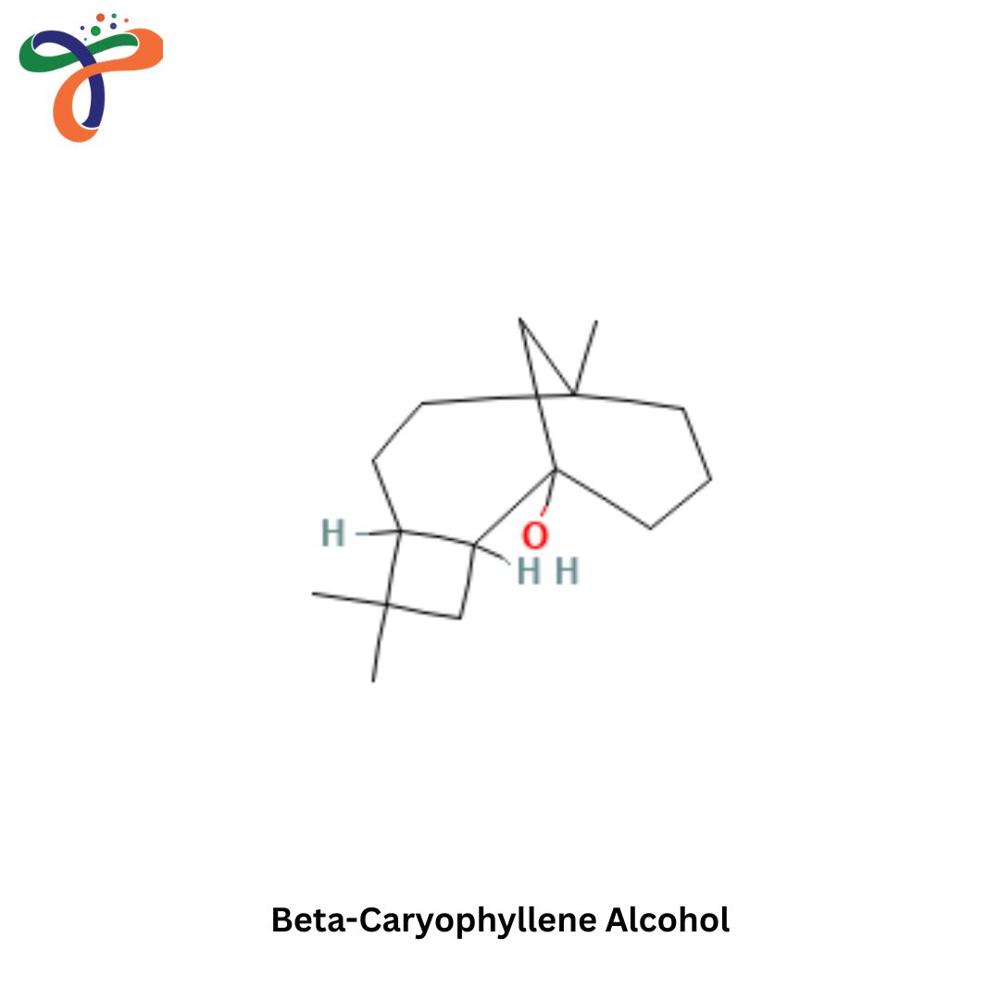 Beta-Caryophyllene Alcohol (472-97-9)