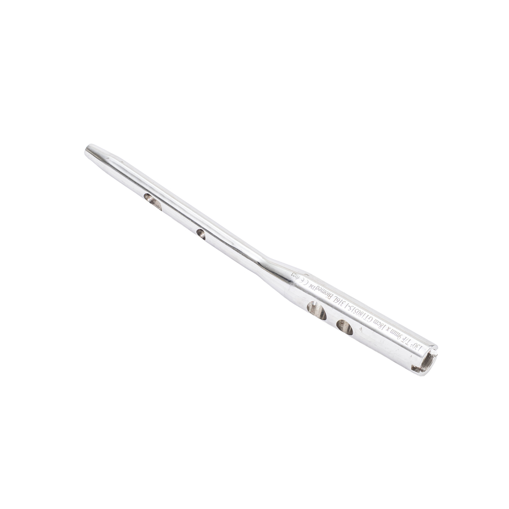 SS Proximal Femoral Nail