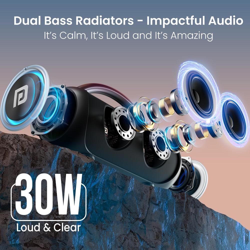 Portronics 30W Radiant 2 Portable Bluetooth Speaker with Wireless Karaoke Mic,6 Hour Playtime,HD Clarity Sound, Dual Driver, RGB LEDs, TWS Mode, BT5.3v, USB Drive, Aux in, Type C Fast Charging(Black)