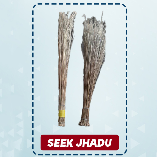 Seek Brooms