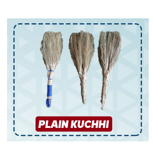 Plain Kuchhi Brooms