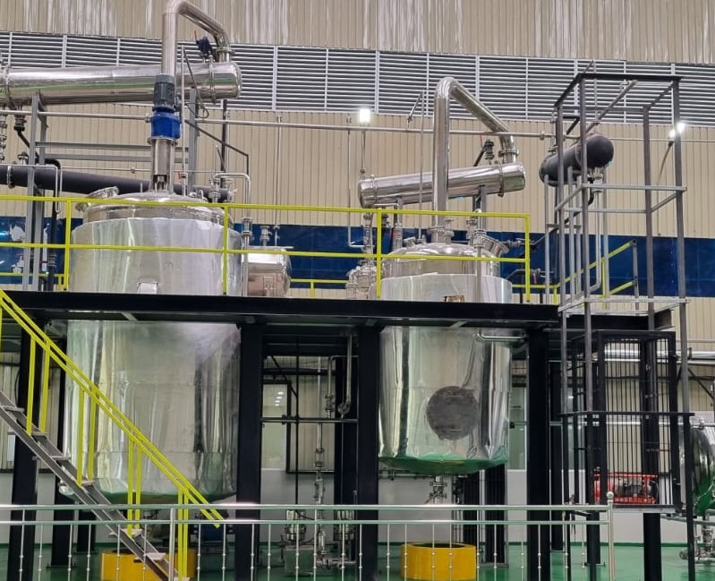 Gymnema Extraction Plant 75%GV