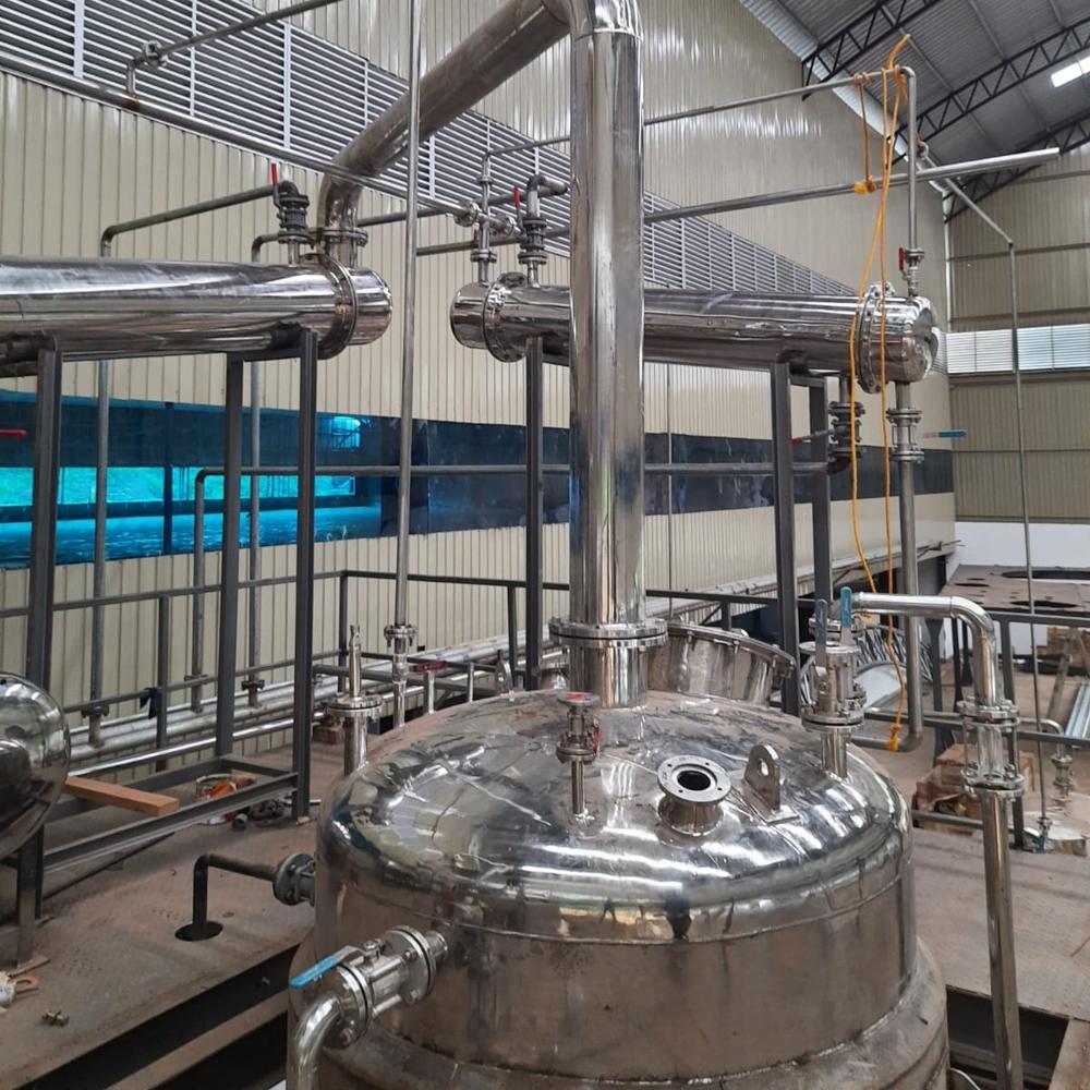 Gymnema Extraction Plant 75%GV