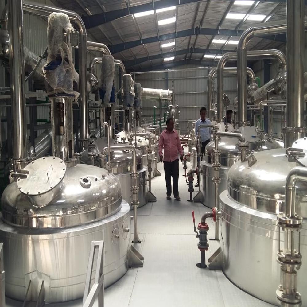 Bacopa Extraction Plant - Capacity: 1 Ton