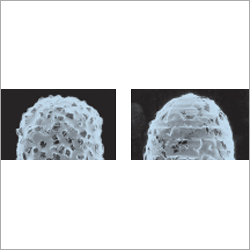 उपयोग किया गया हीरा बुर टिप