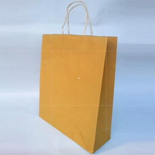 Paper Shopping Bag