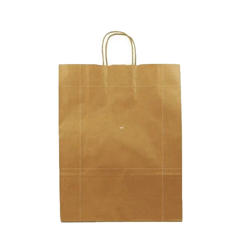 Brown Paper Carry Bag