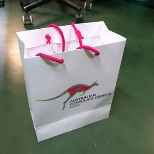 Customized Printed Paper Shopping Bag