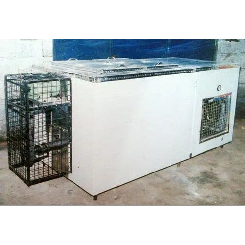 Ice Candy Making Plant