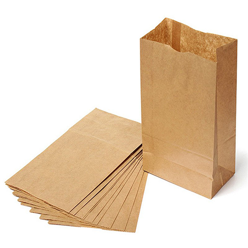 Brown Paper Pouches