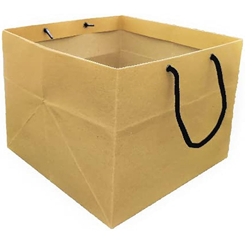Cake Box Carry Bag