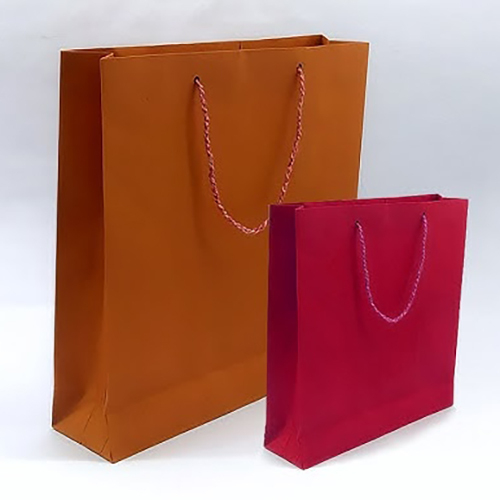 SBS Paper Bags