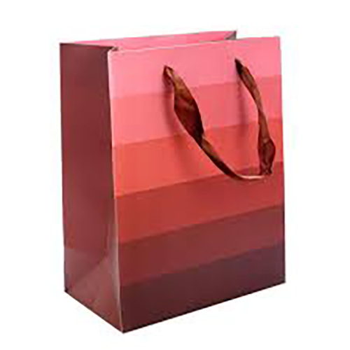 Paper Bag With Ribbon Handle