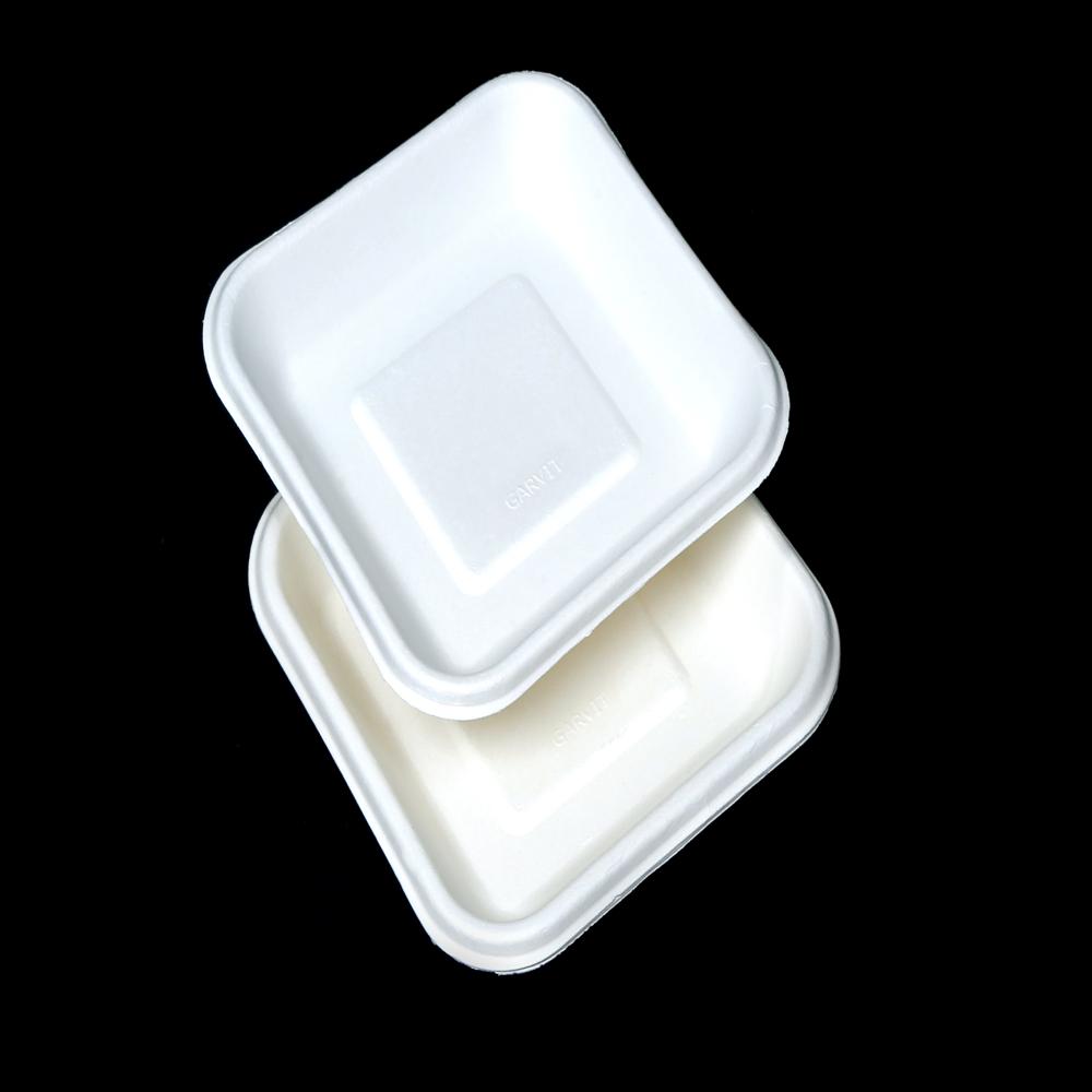 6" Square Sugarcane Bagasse Plate