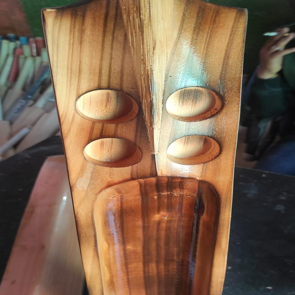 Burn Cricket Bat