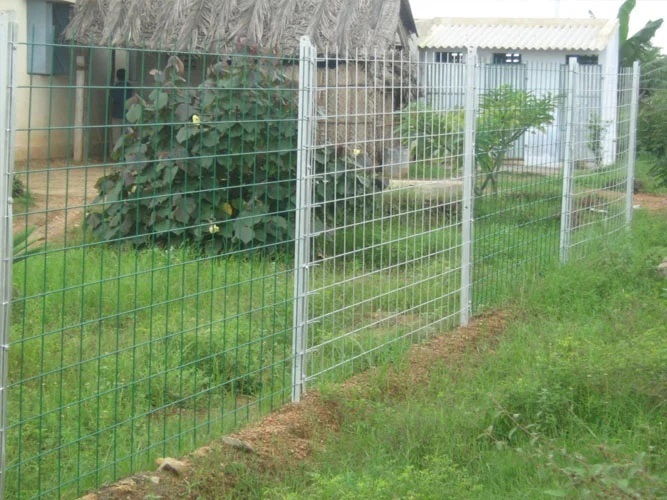 Weldmesh Fencing For Agriculture Land