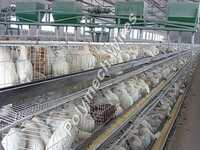 Wlc-01 Layer Cage Welded Mesh