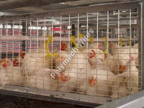 WBC-01 Breeder Cages Weld Mesh Rolls