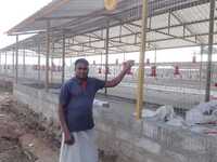 Poultry Weld Mesh Partitions
