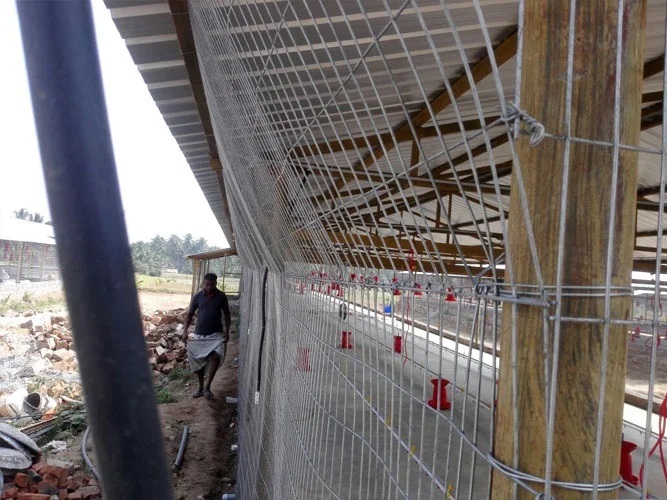 Poultry Weld Mesh Partitions