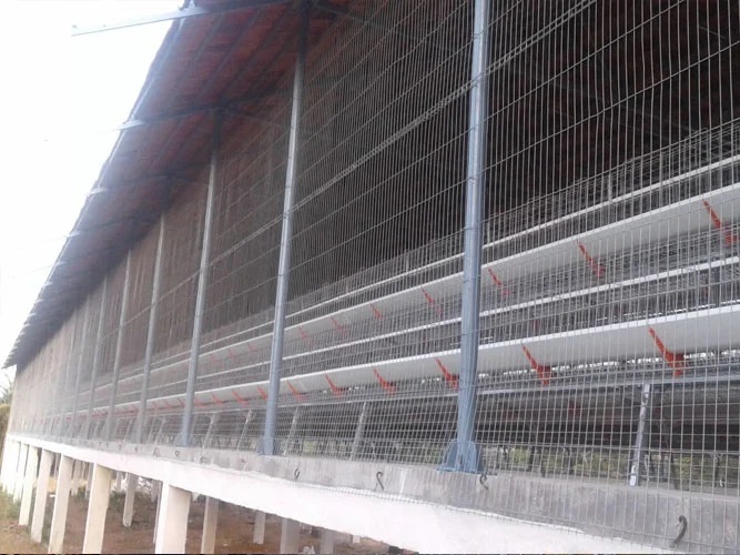 Poultry Weld Mesh Partitions