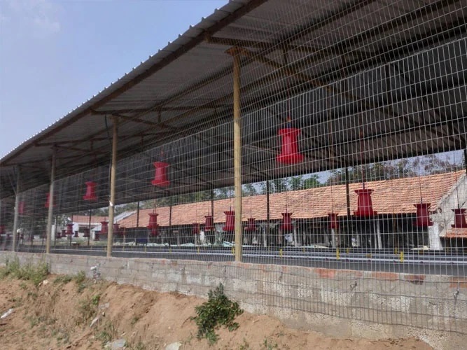 Poultry Weld Mesh Partitions