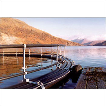 मत्स्य पालन परामर्श सेवाएँ