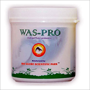 पानी प्रोबायोटिक्स