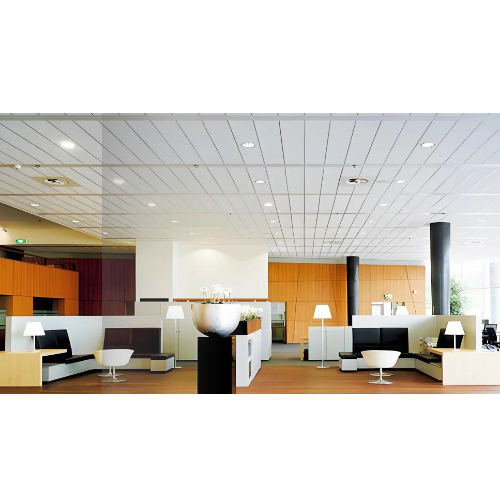 Rectangular Ceiling Series Clip In Roofing System