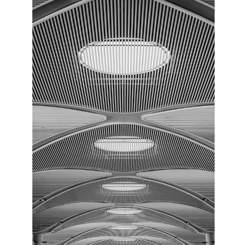 Linear Baffle Ceiling Series Roofing System