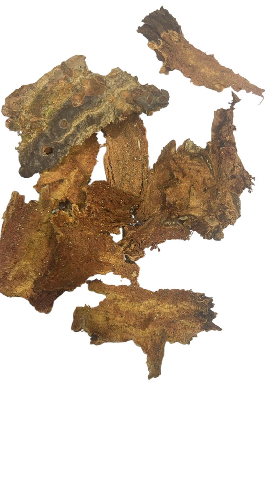 Bombax Ceiba Bark Chips