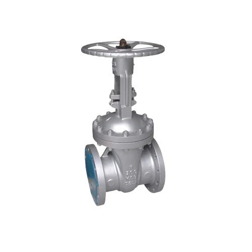 CLASS 150 40 Mm Gate Valve
