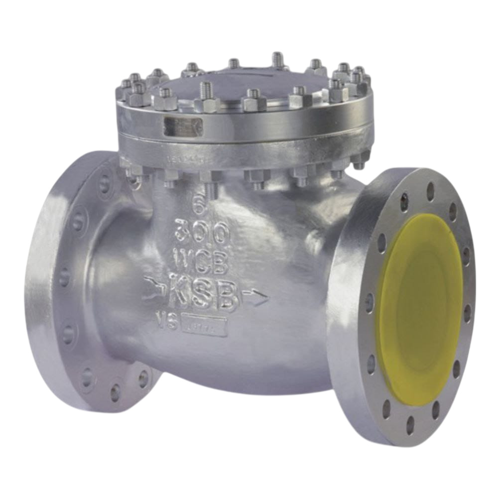 Check Valve