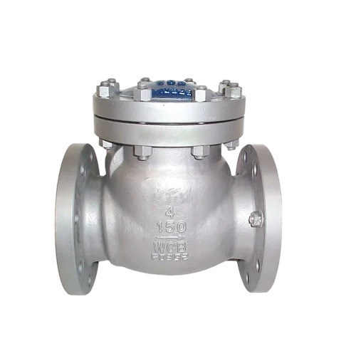 CLASS 150 25 Mm Swing Check Valve