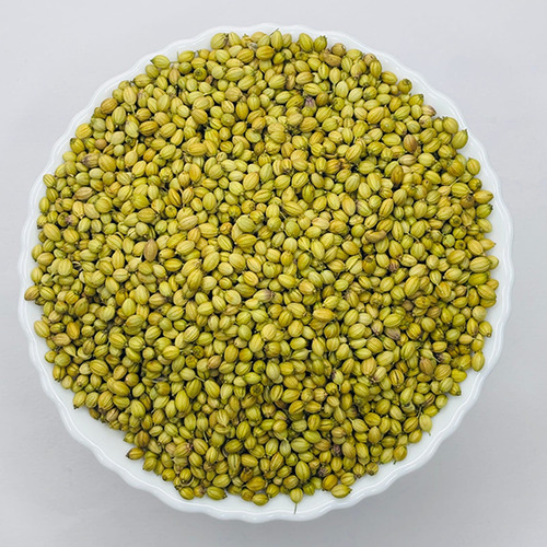 Coriander Seeds