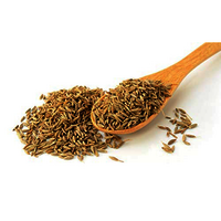 Cumin Seeds (jeera Seeds ) - Admixture (%): 1% Max