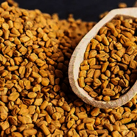 Fenugreek Seeds( Methi Seeds - Admixture (%): 1% Max