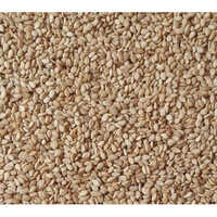 Sesame Seeds
