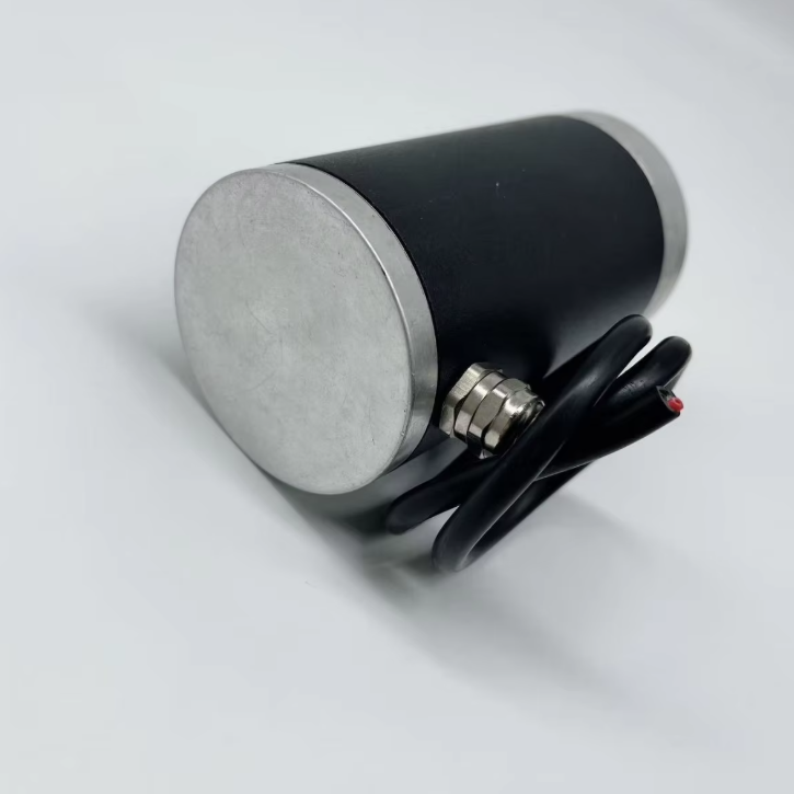 SP60-108 Brush Commutation Waterproof Micro Motor Pump Automation Equipment Agricultural Reducer Brushinng Motor