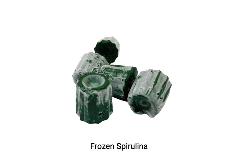 Frozen Spirulina