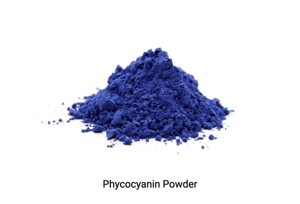 Phycocyanin Powder