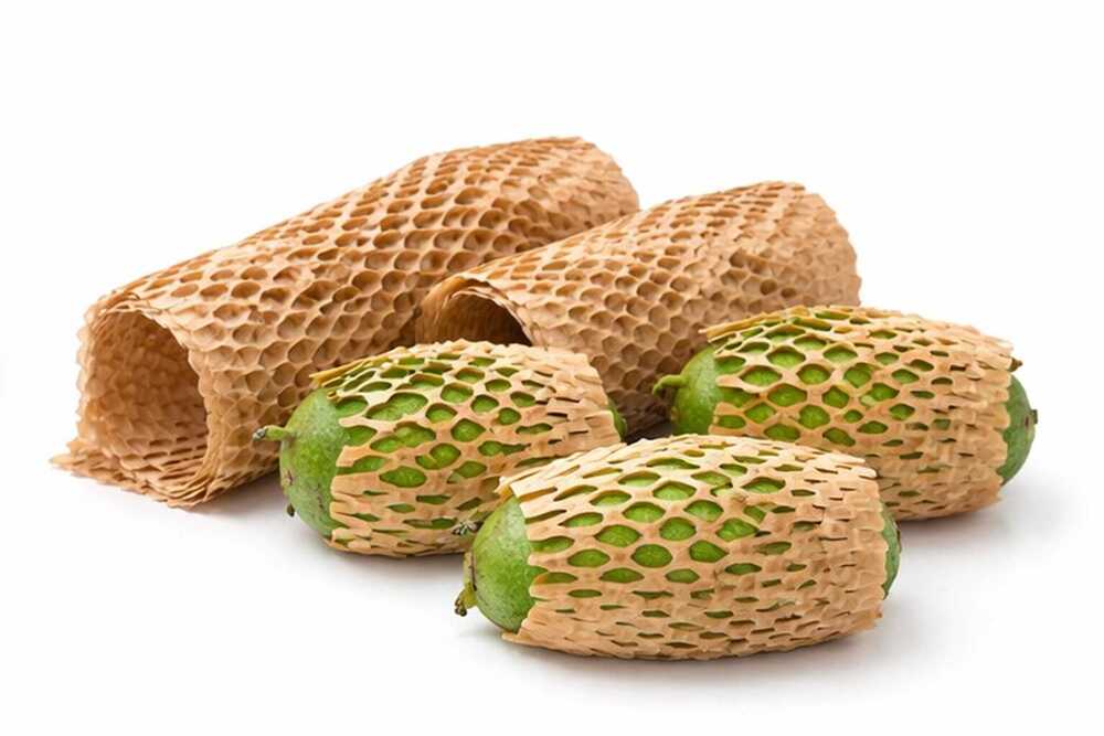 Honeycomb Paper Sleeves For Fruit Cushioning